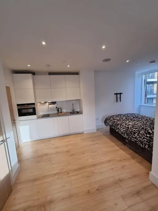 Lovely One Bedroom Apartment In Ilford Town United Kingdom